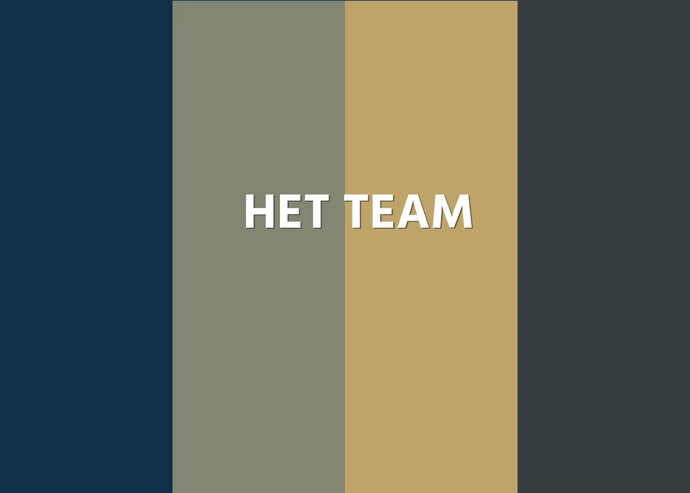 Het TNS team
