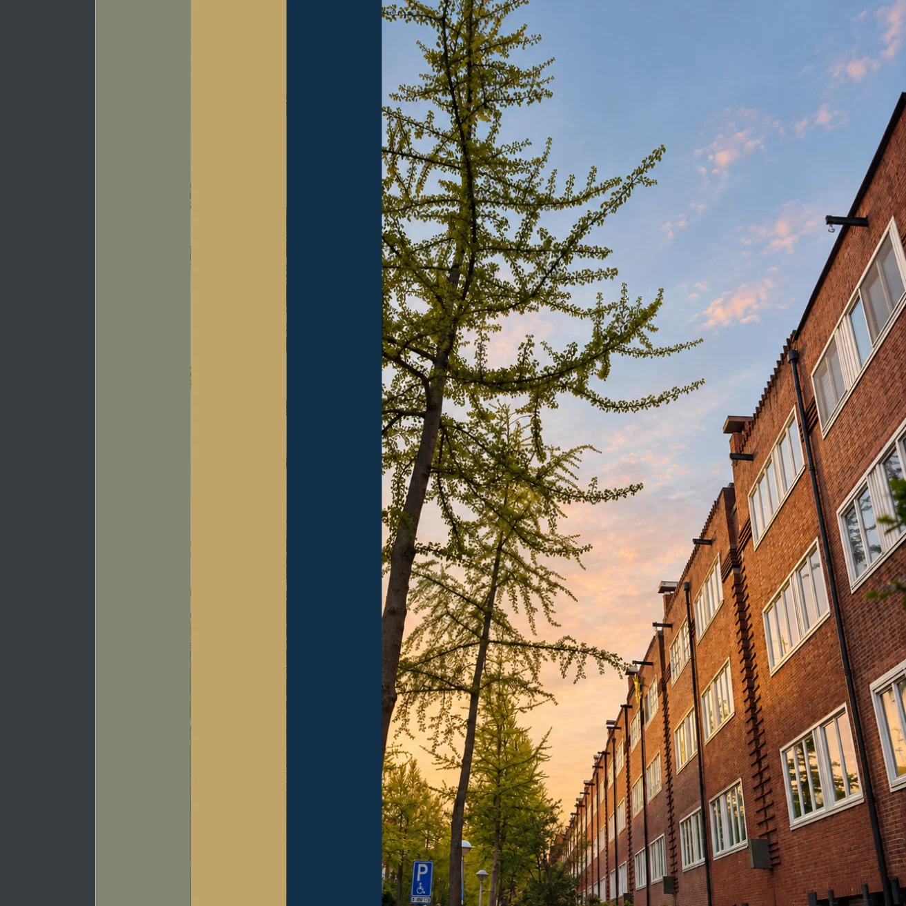 Studentenhuisvesting