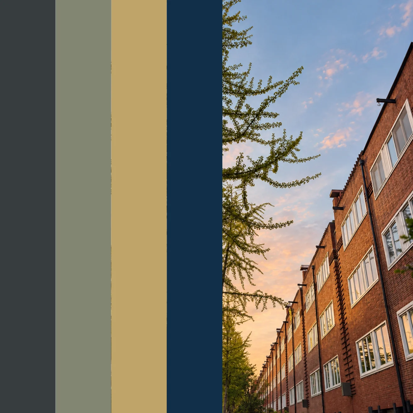 studentenhuisvesting